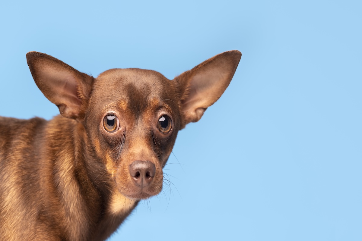 What To Do When You’re Freaking Out And Scared