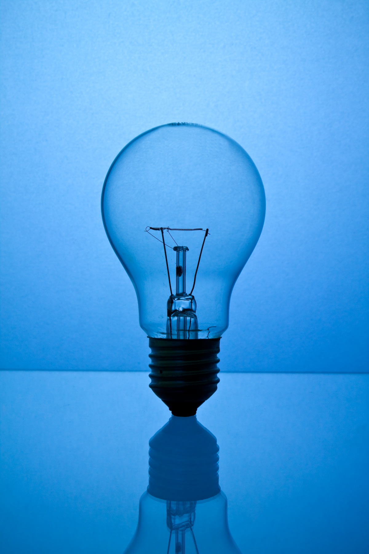 The lightbulb, eco and save energy concept